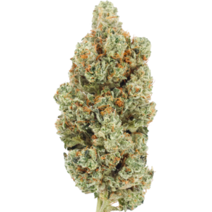 GORILLA OG|1 Ounce