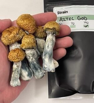 Aztec Gods Magic mushrooms: oz