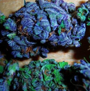 Blueberry Kush (Indica) oz