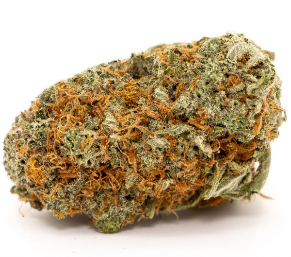 Girl Scout Cookies Hybrid Strains