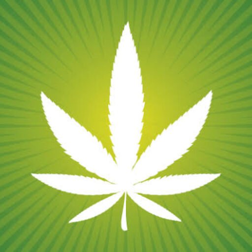 qualitykush.store
